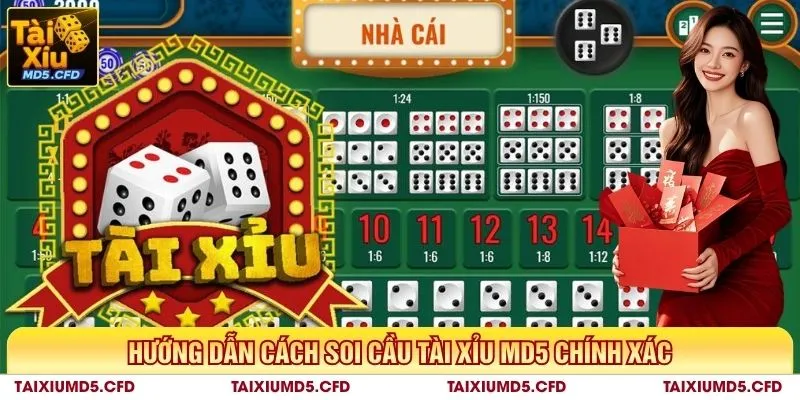 Cao thủ hướng dẫn cách soi cầu tài xỉu MD5 chính xác