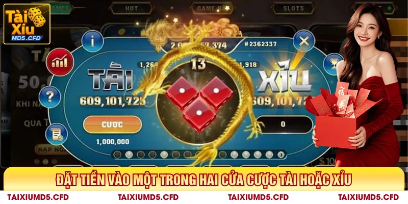 Đặt tiền vào một trong hai cửa cược tài hoặc xỉu