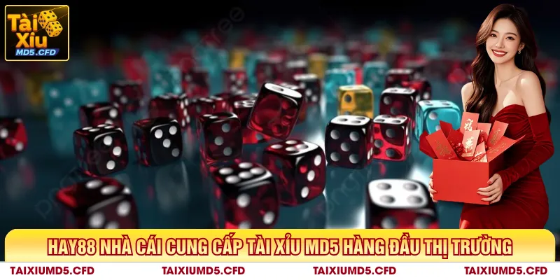 HAY88 nhà cái cung cấp tài xỉu MD5 hàng đầu thị trường