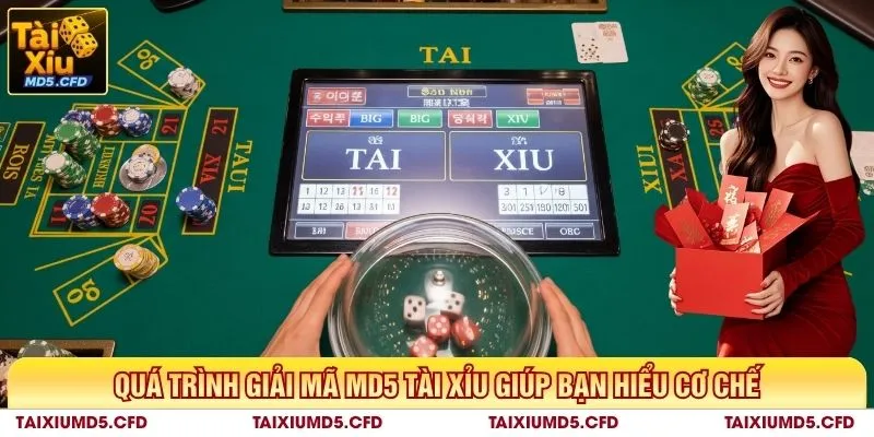 Quá trình giải mã MD5 tài xỉu giúp anh em hiểu cơ chế