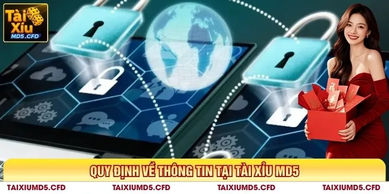 Quy định về thông tin tại Tài Xỉu MD5