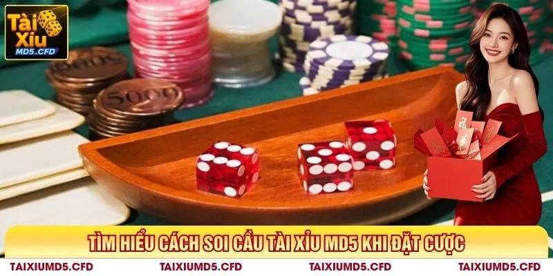 Tìm hiểu cách soi cầu tài xỉu MD5 khi đặt cược