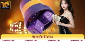 tool tài xỉu md5