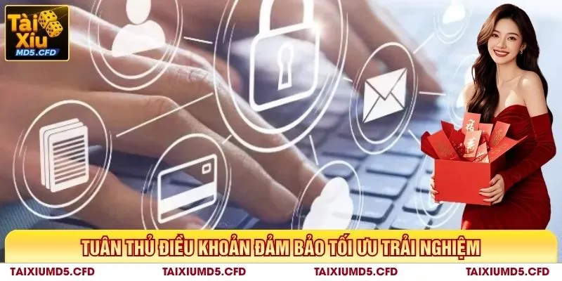 Tuân thủ điều khoản đảm bảo tối ưu trải nghiệm